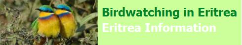 Eritrea is heaven for bird-watchers
