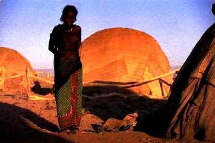 Afar huts in the Danakil desert - Eritrea