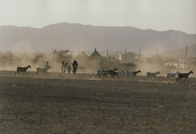 Traditional dwellings in Agordat - Eritea