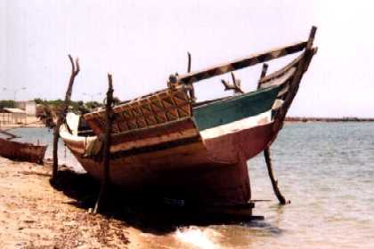 Afar sambukhs at anchor in the briny shallows