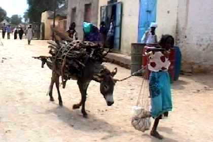 Streetscape of Barentu Eritrea.