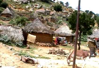 Traditional dwellings - Agudo or Tukuls - Barentu Eritrea.