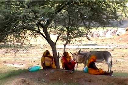 Women resting in the shade of a tree near Agordat.