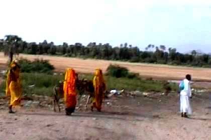 The Barka river passing Agordat (dry season).