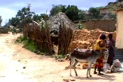 Image of Barentu in the heart of the Kunama territory.