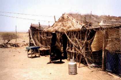 Thio Eritrea - little fish restaurant situated on the Red Sea beach.