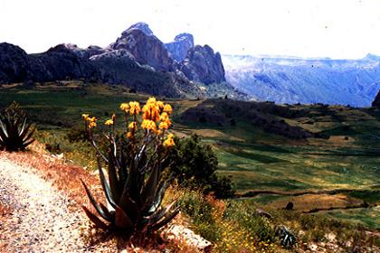 Amba Matera