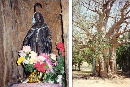 St. Mariam Dearit's shrine Keren, built into a huge boabab