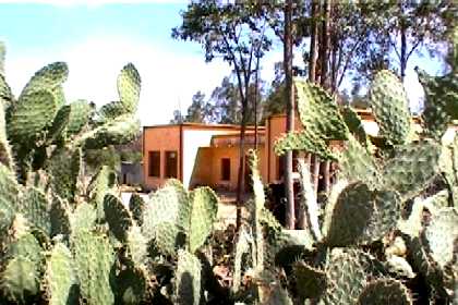 Elementary school of Nacfa hidden behind cacti