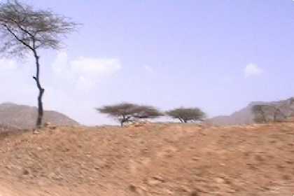 Typical landscape on the road to Keren